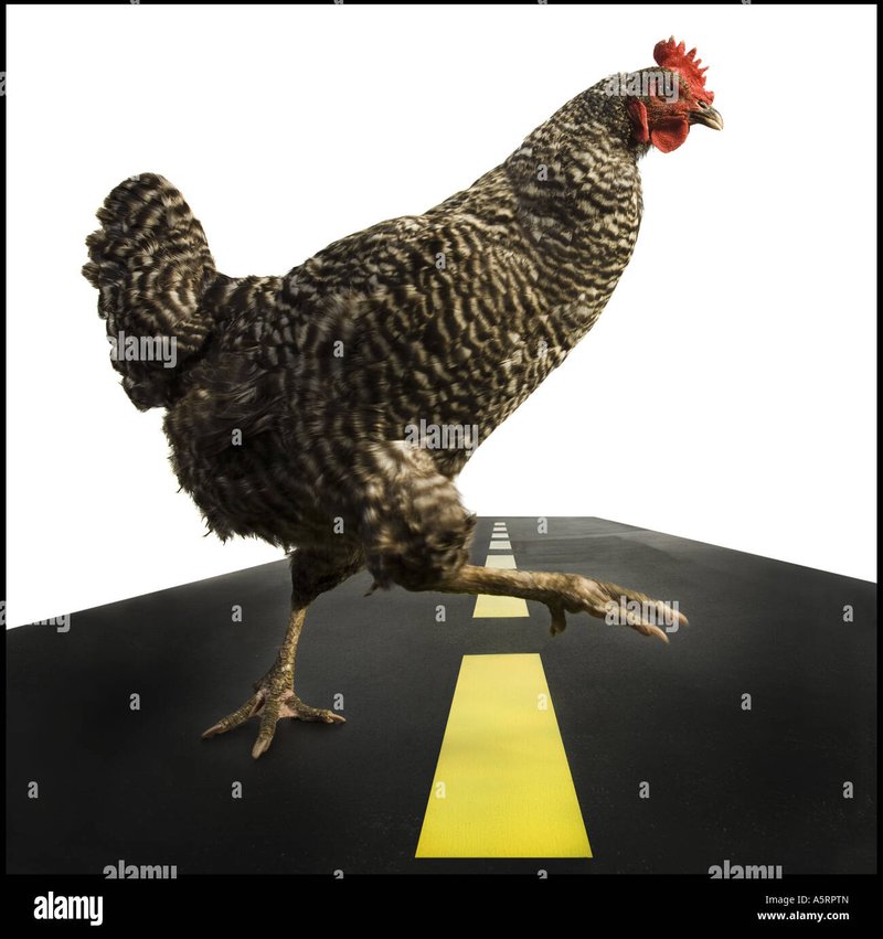 Explore jugar chicken road