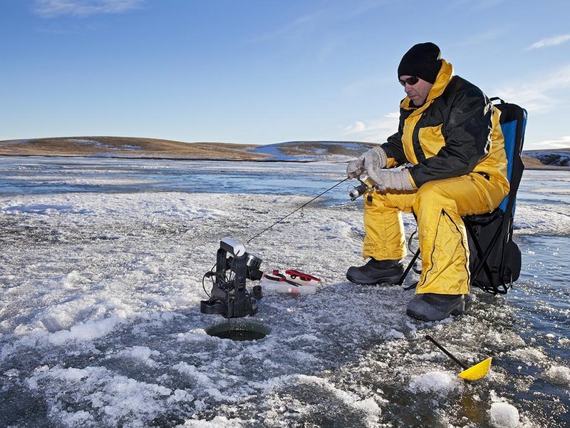 Guide to ice fishing live game